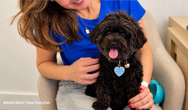 Could Your Dog Pass the Canine Good Citizen Test?
